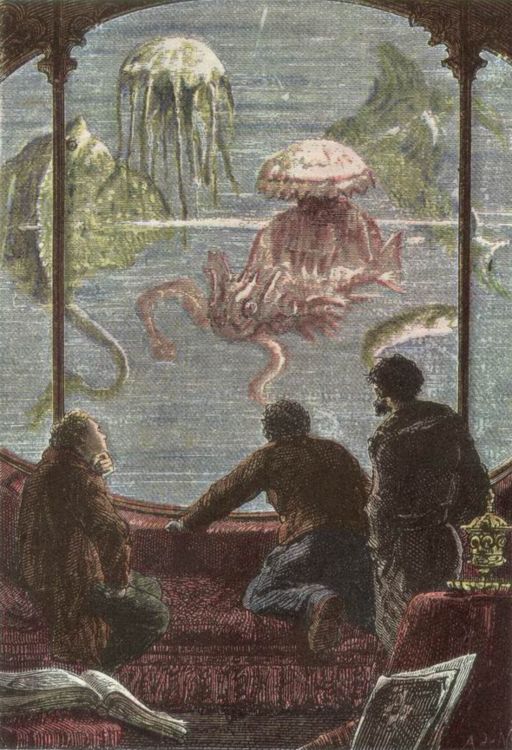 Vista desde la ventana del Nautilus