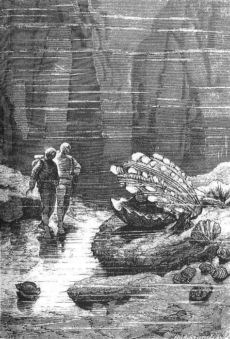 The giant pearl oyster