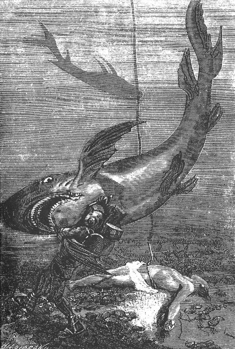 Nemo fighting the shark