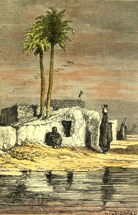 Red Sea coastal landscape