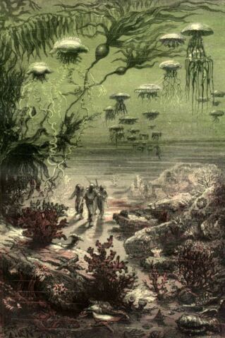 A walk on the seabed