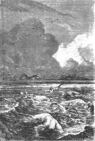 The dead of the Ganges