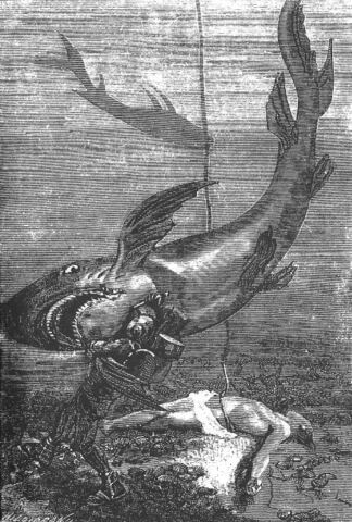 Nemo fighting the shark
