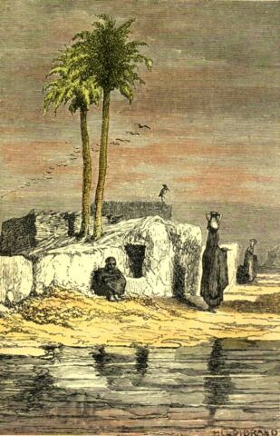Red Sea coastal landscape