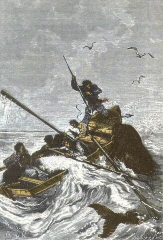 The dugong hunt